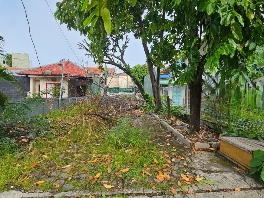 Jual Tanah strategis di Jalan Beringin sekayu dekat Jalan Tanjung