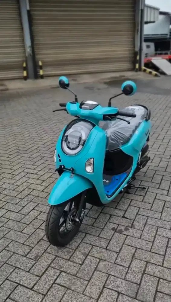 HONDA SCOOPY FASHION