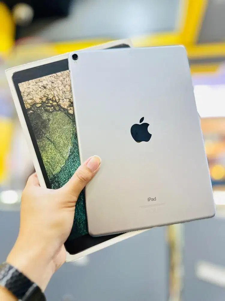 iPad Pro 2017 10.5 256GB iBox