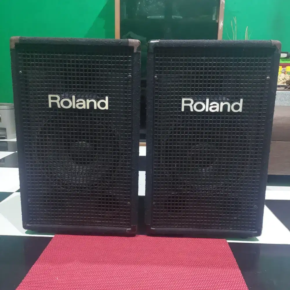 Speaker Roland. USA