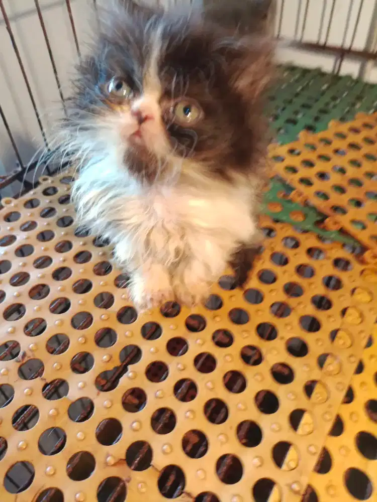 Betina black and white