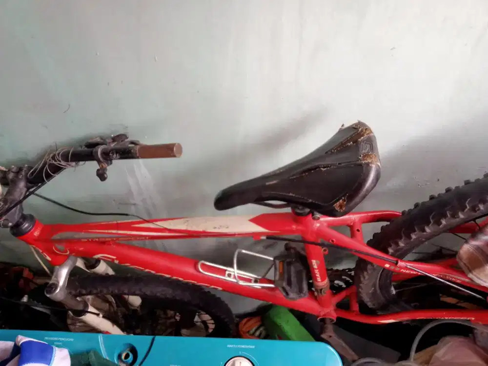 Jual cepet sepeda Evergreen