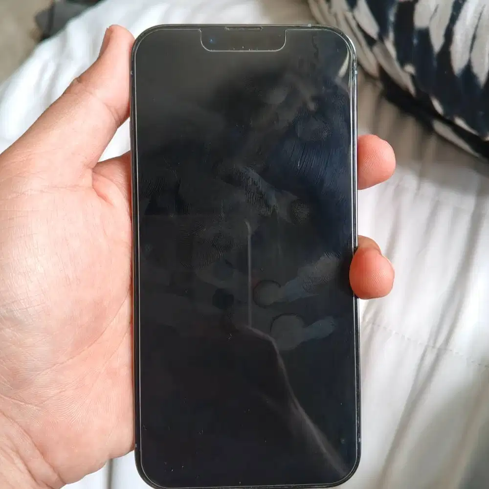 iPhone 13 Pro Warna Sierra Blue