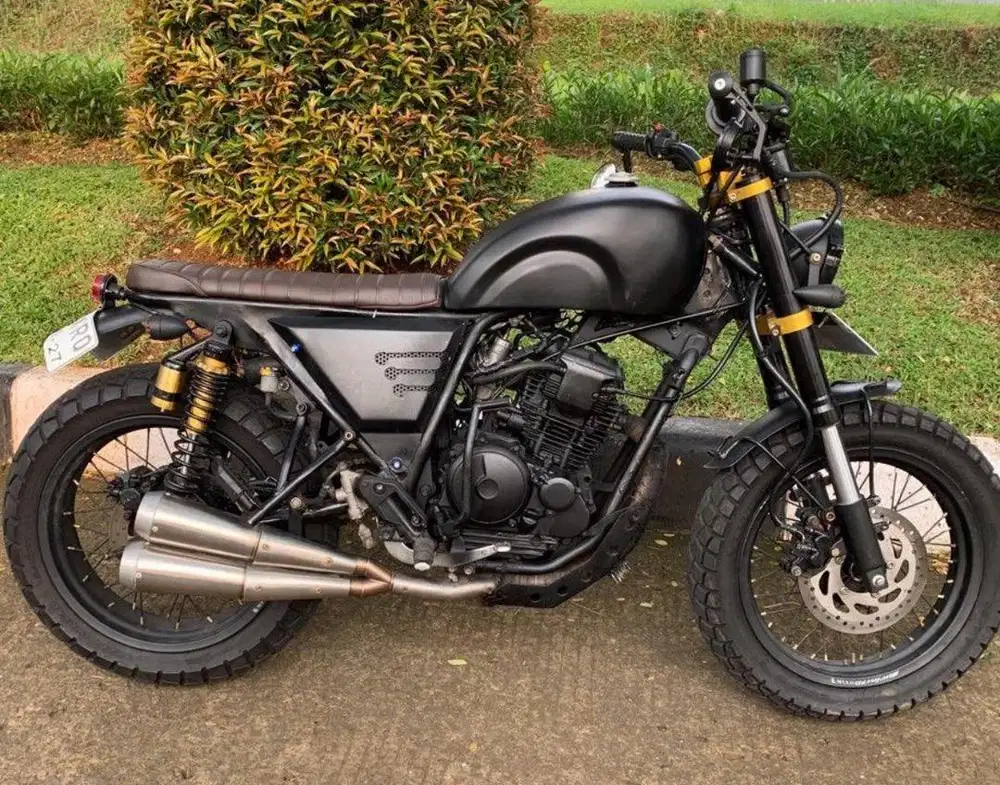 Motor custom basic scorpio 225cc