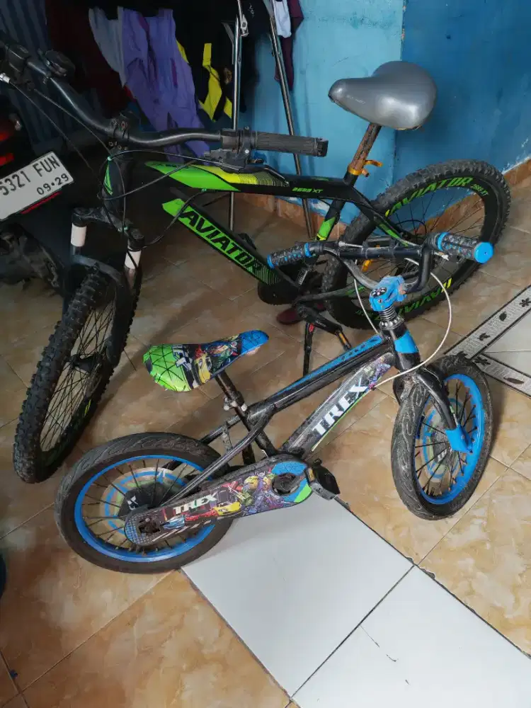 Sepeda dewasa dan anak