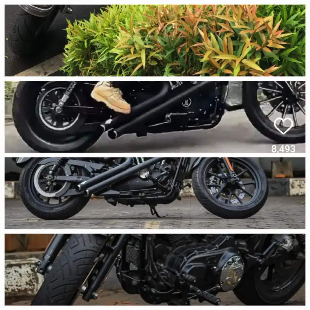 Djual Sportster 883 XL 2011