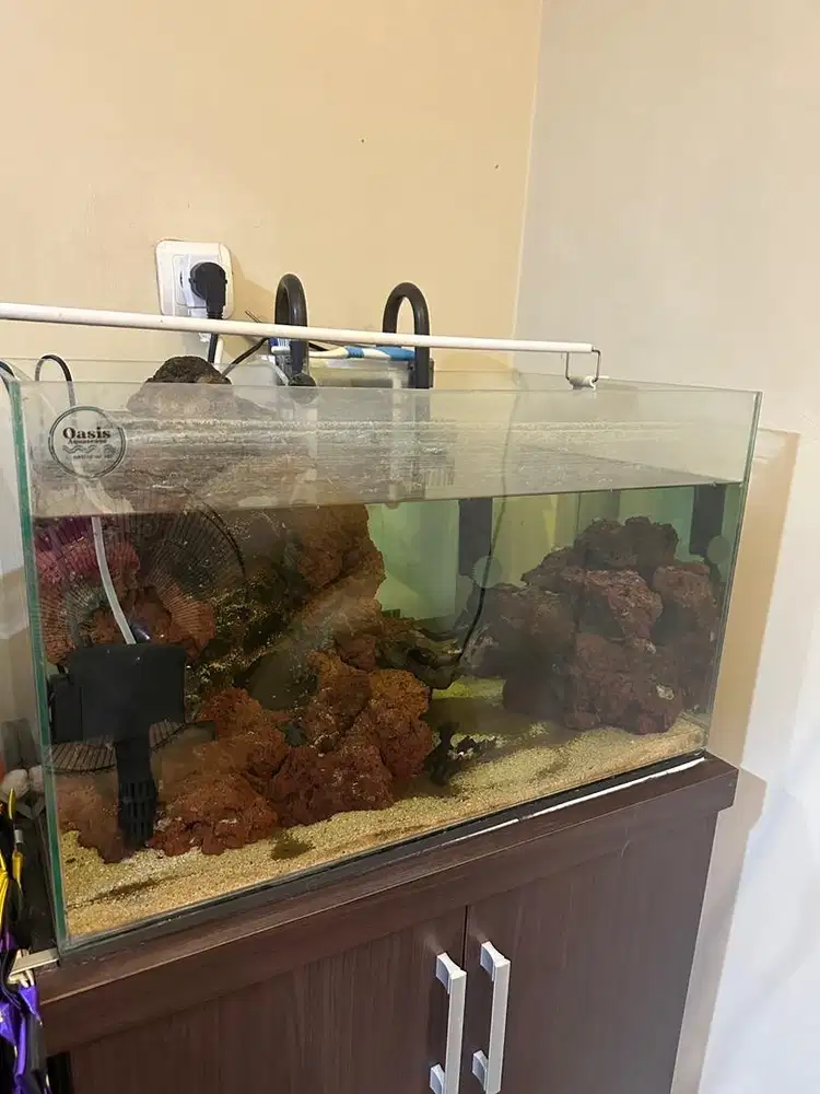 Set Lengkap Aquarium