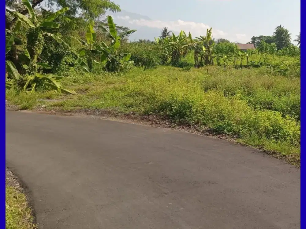 Tanah Jogja Kaliurang 3 Jt-an /m Pinggir Jalan Lingkungan