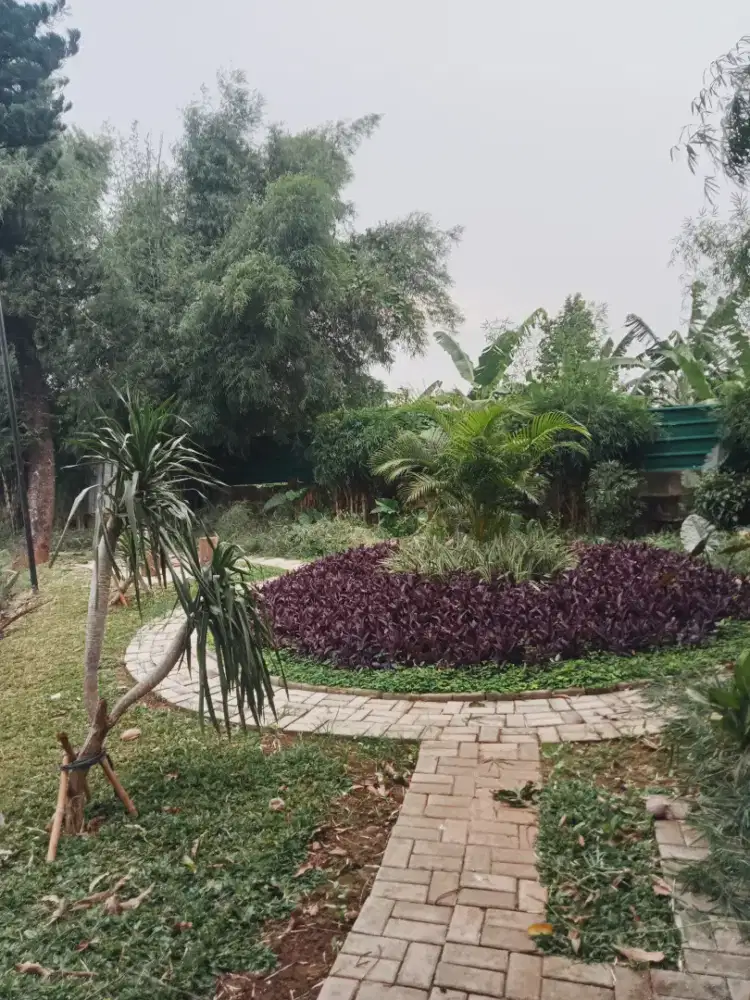 JASA  POTONG RUMPUT