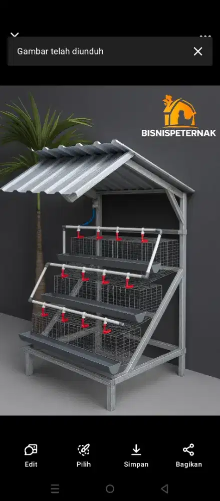 Kandang ayam petelur skala rumahan