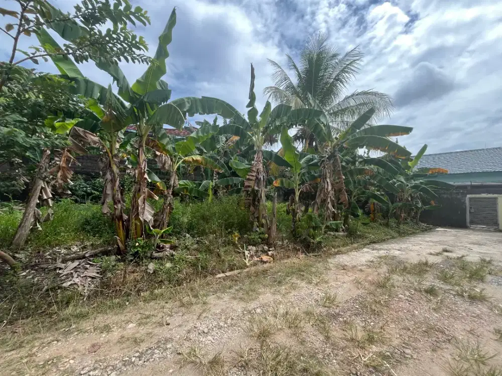 Dijual Tanah Macan Kumbang Demang lebar daun
Palembang