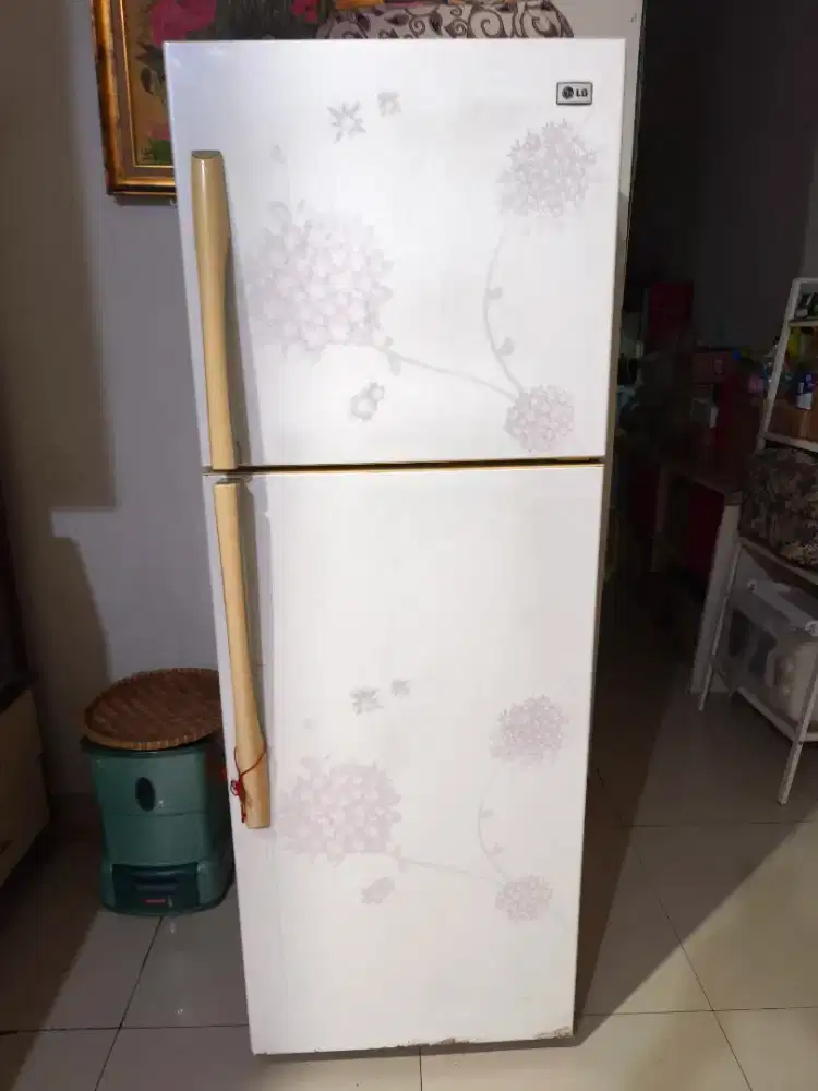 Kulkas LG 2 Pintu