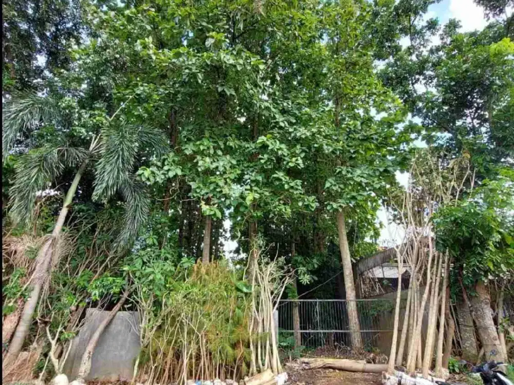 DIJUAL ! Tanah di Kavling DKI - Meruya utara - Kembangan, Jakarta Barat