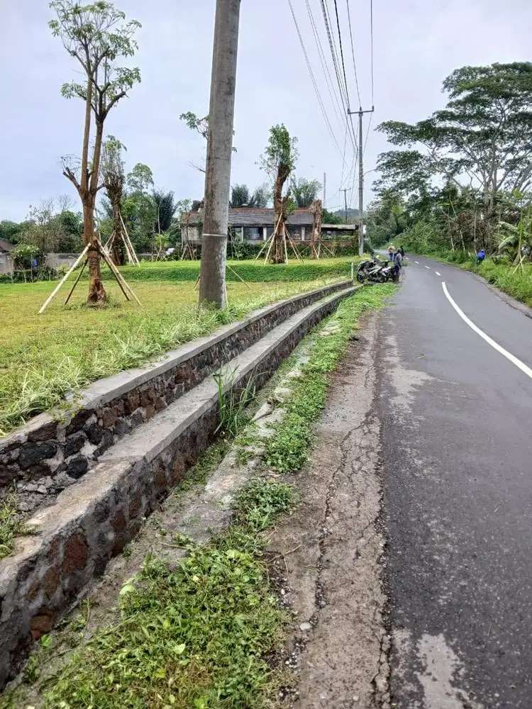 Lahan Premium Munduk Tamblingan 1,5 Ha – Cocok Glamping & Villa, SHM