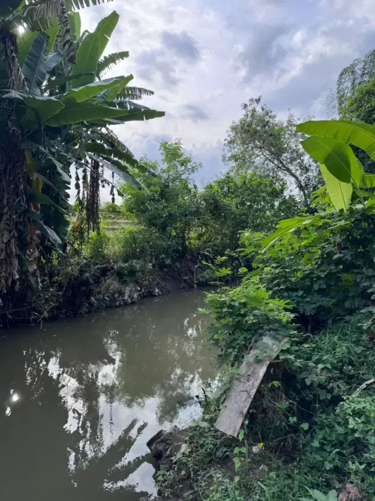 15mnit to Canggu Pererenan FreeHold 6,7 are