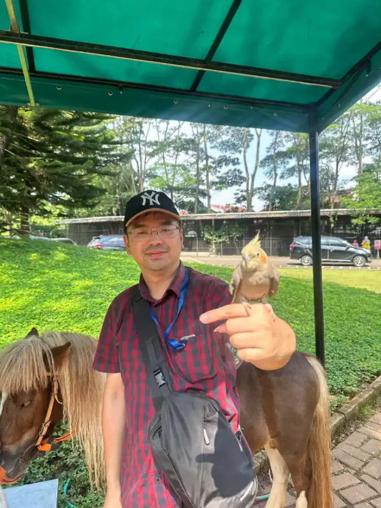 Mencari lowongan kerja ( Loker )