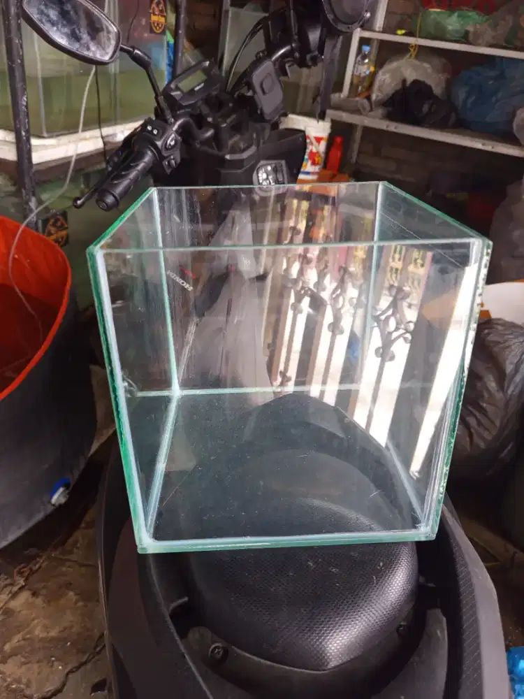 Aquarium panjang 20 cm lebar 20 cm tinggi 20cm