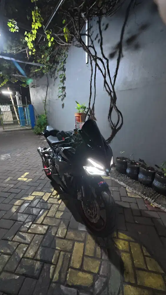 Honda CBR 250RR