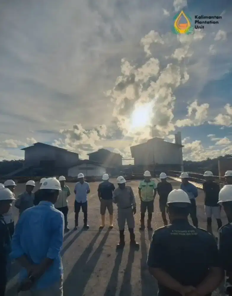 Perawatan & Panen Kebun Sawit