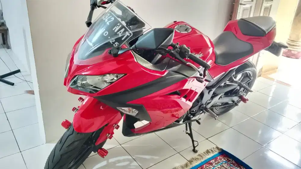 Motor Ninja kawasaki