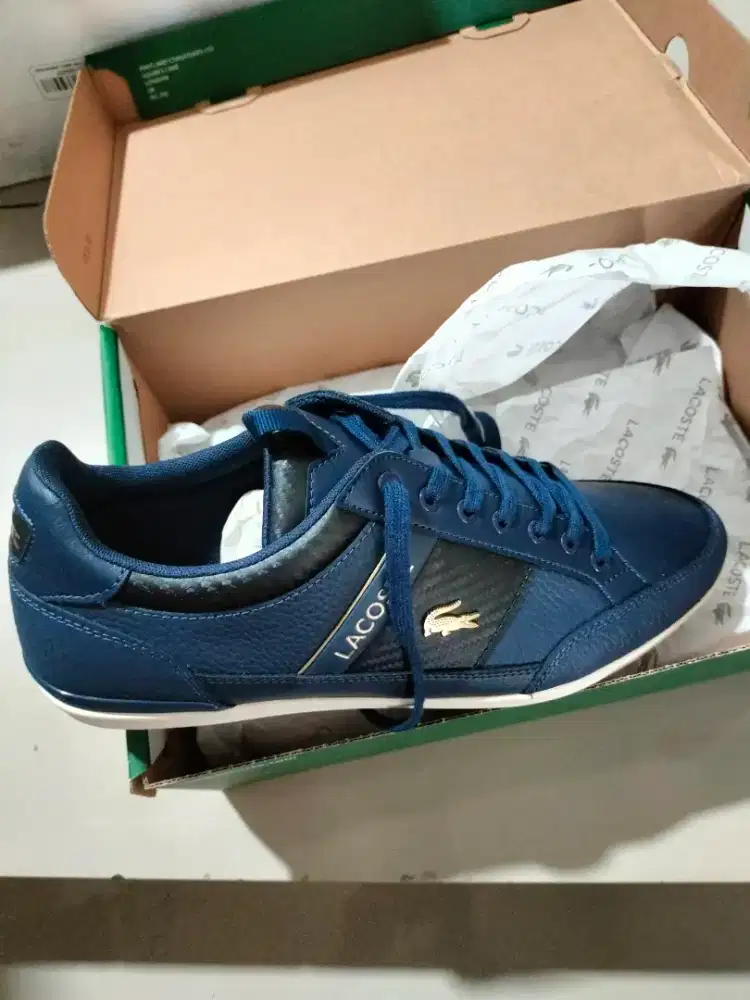 Sepatu Lacoste baru dan original