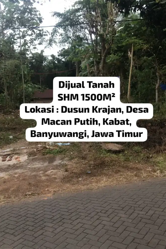 Dijual Tanah di Desa Macanputih, Banyuwangi