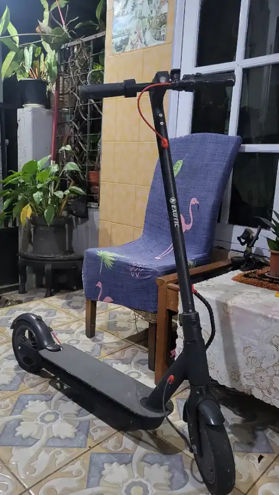 Skuter exotic mulus pr beli batre