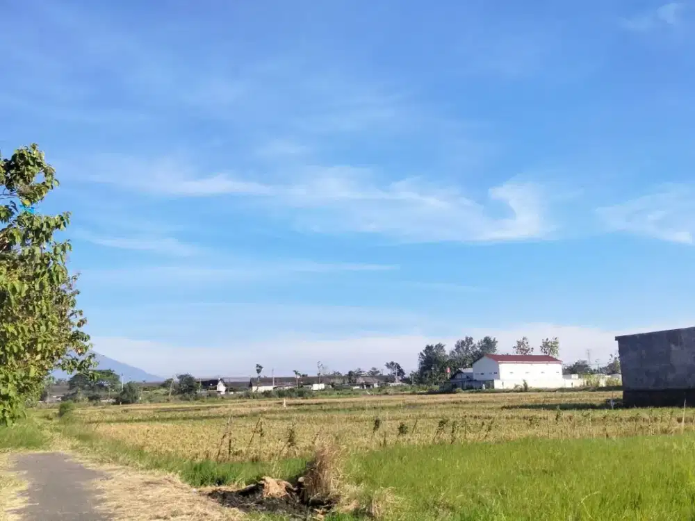 Tanah SHM Utara Tugu Kartasura Cocok Untuk Rumah Tinggal