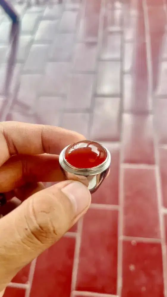 Red raflesia Bengkulu