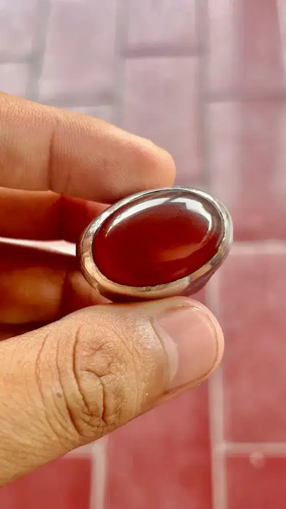 Batu raflesia Bengkulu