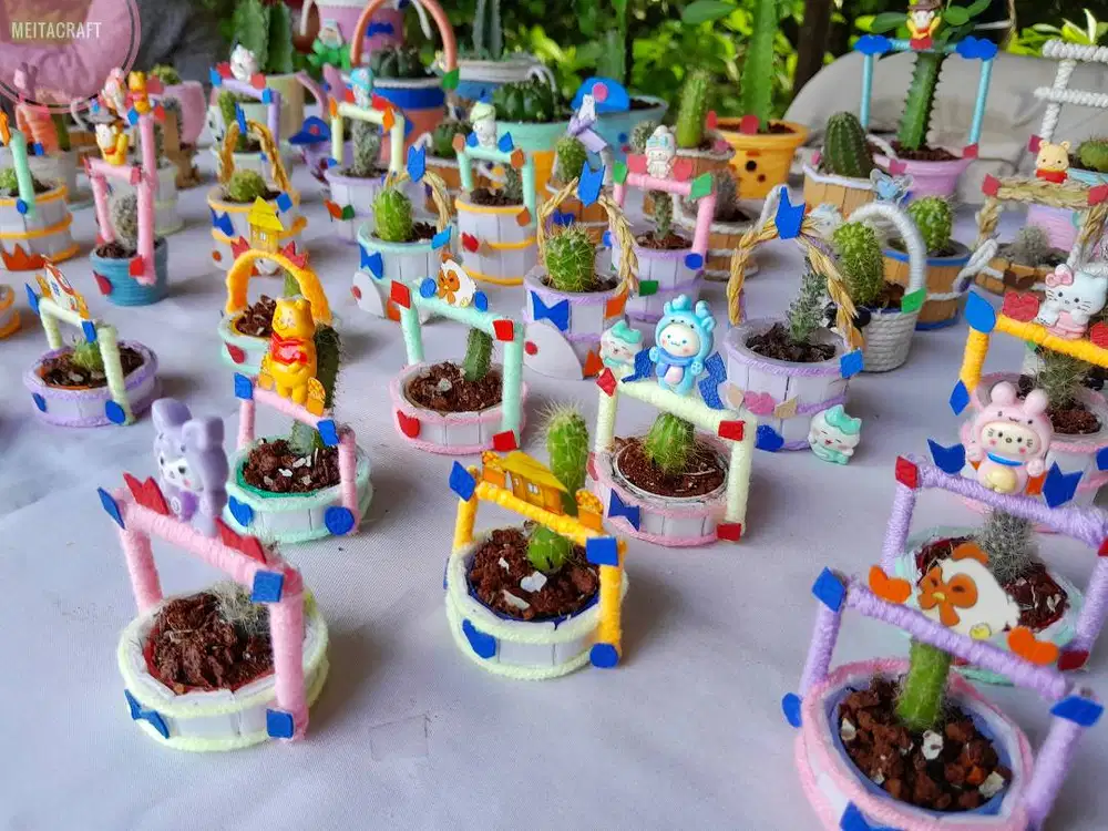 Kaktus Sukulen Mini & Aneka Pot Lucu