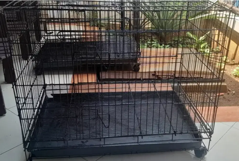 Dijual Kandang Kucing Second Besar Bagus