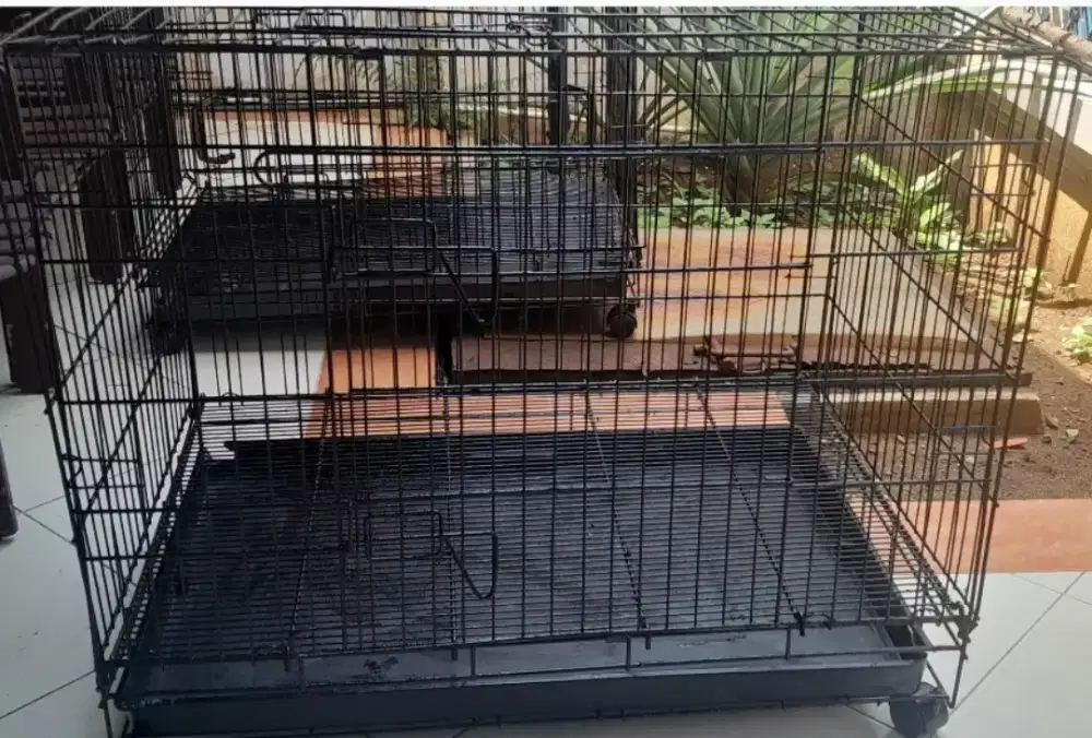 Dijual Kandang Kucing Second Besar Bagus