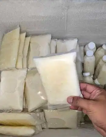 100 liter susu kambing etawa murni 100% kemasan sachet 200ml siap jual