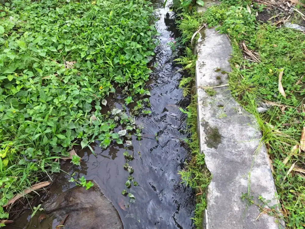 Dijual Tanah istimewah Jarang ada Sumber air lancar bagus Lokasi GODEAN Timur museum suharto