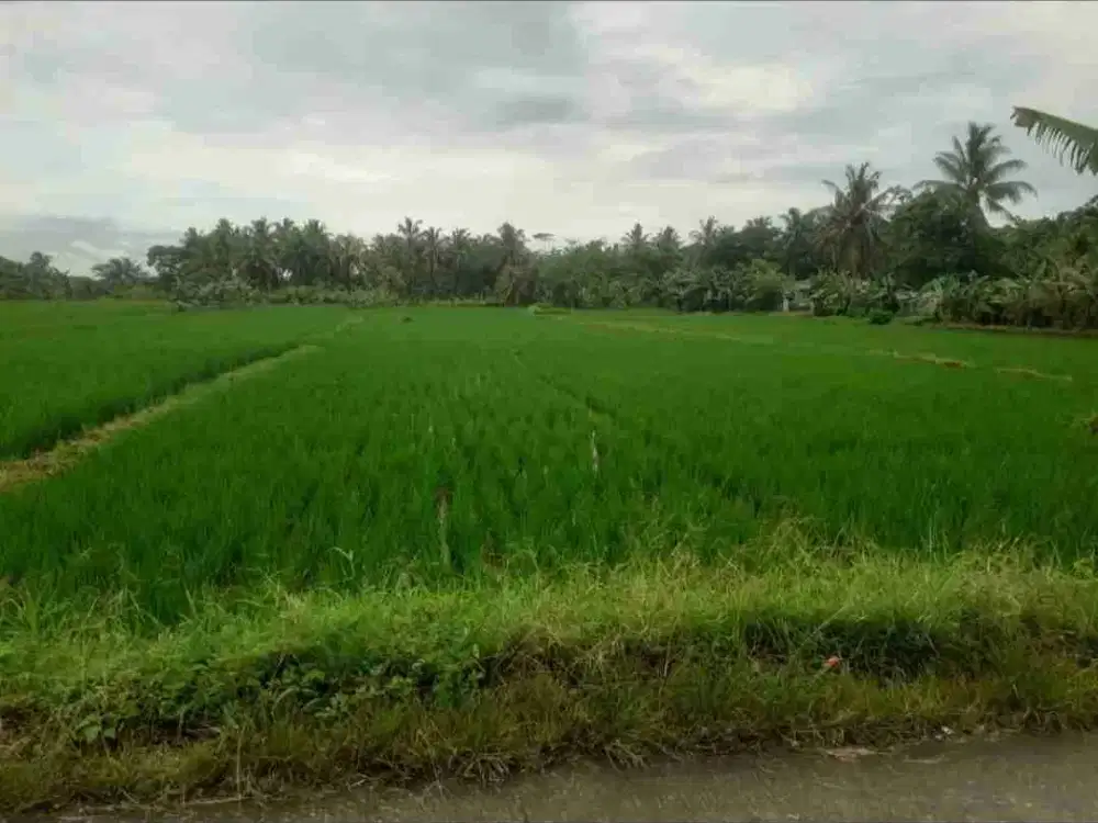 Dijual murah tanah pinggir jalan dekat Lynn Resort Carita, 3075 m2, SHM