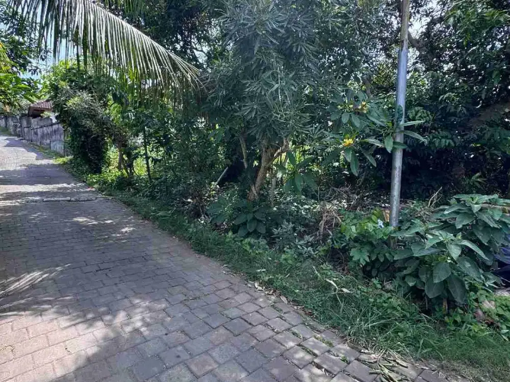 dijual tanah komersil lokasi labuan sait pecatu