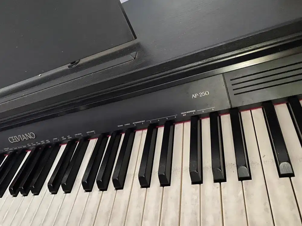 PIANO CASIO CELVIANO AP-250