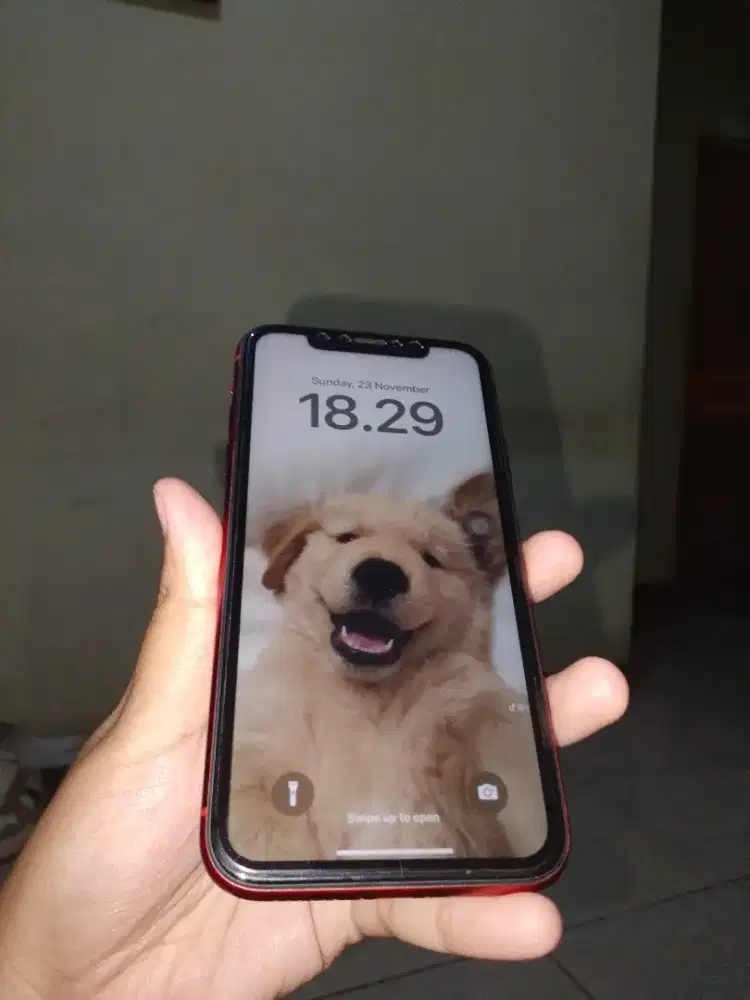 iPhone XR 64gb ex IBOX