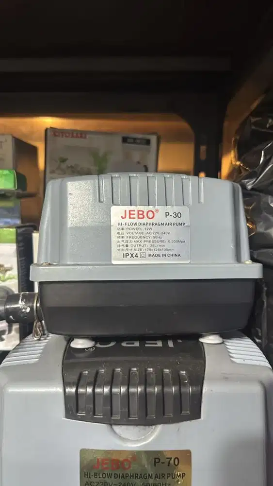 PAKET USAHA IKAN HIAS- SIAP JALAN