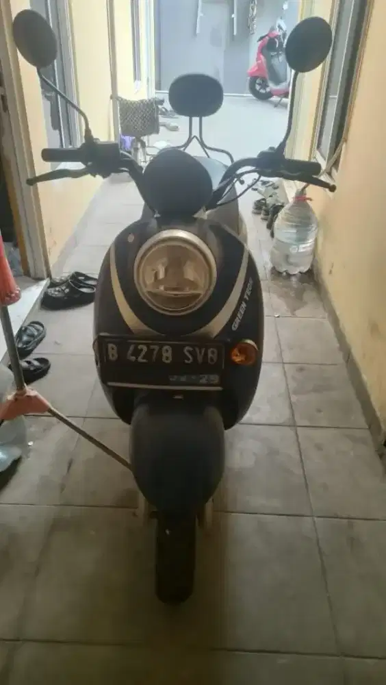 Molis greentech unity classic th 2024