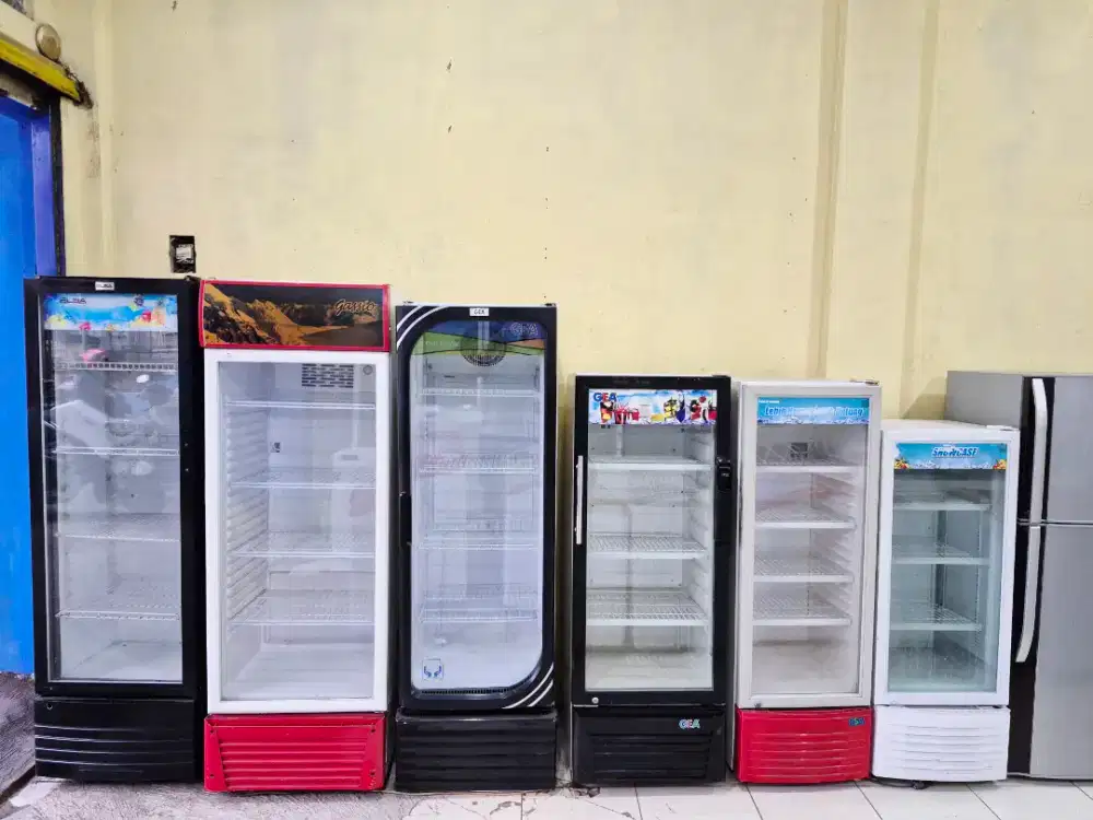 Ready showcase ori mulus