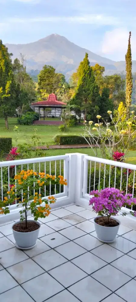 Dijual Rumah Villa,,,harga negoo