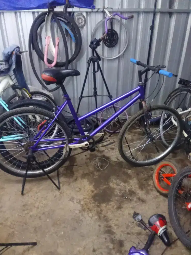 Comuter bike 26 golden eagle sise 18