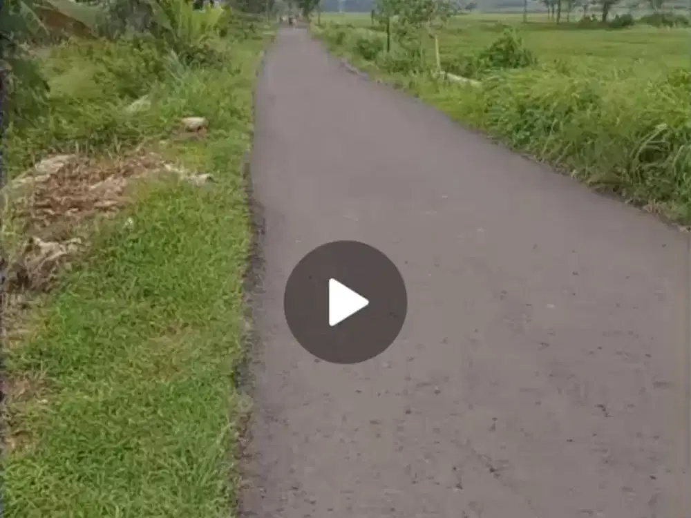 Dijual tanah bisa untuk peternakan ayam di Gudo, Jombang