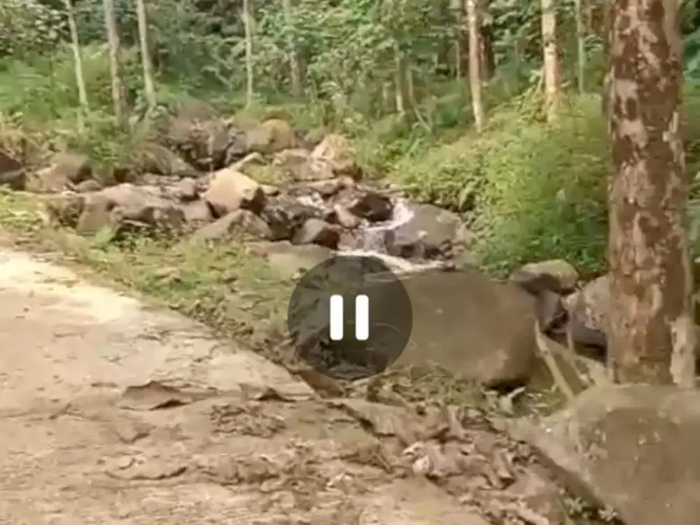 Dijual tanah untuk rumah kebun, villa ada mata air sungai Wonosalam, Jombang