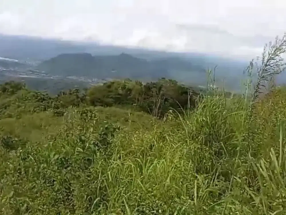 Disewakan Tanah 200 HA di Desa Pasir Madang, Sukajaya