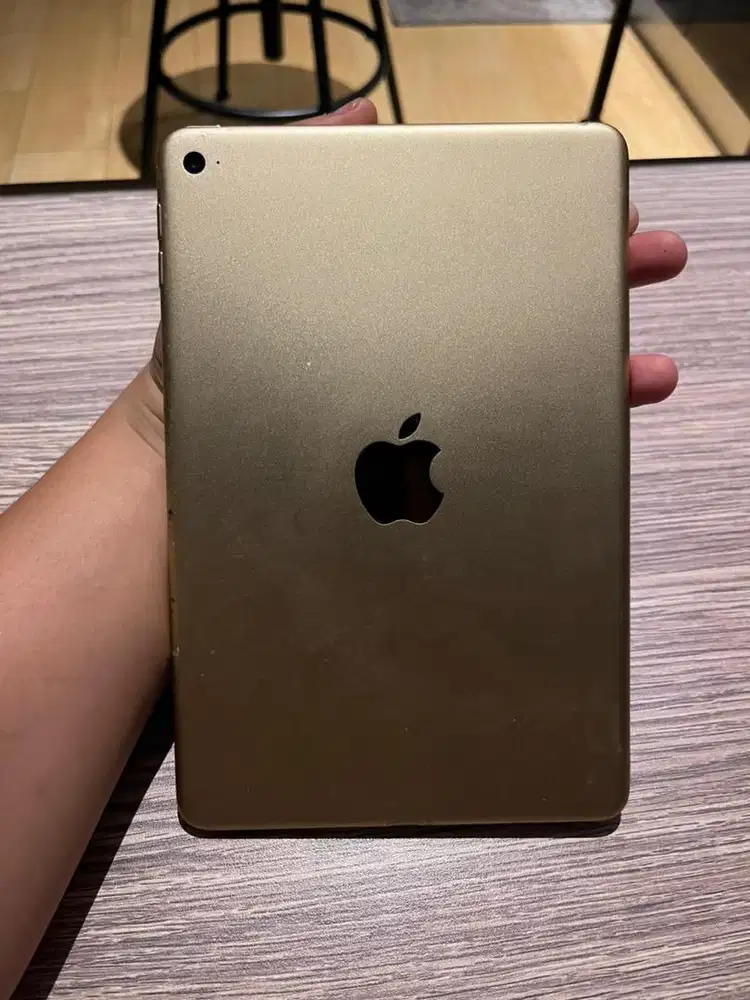 IPAD MINI 4 (32)