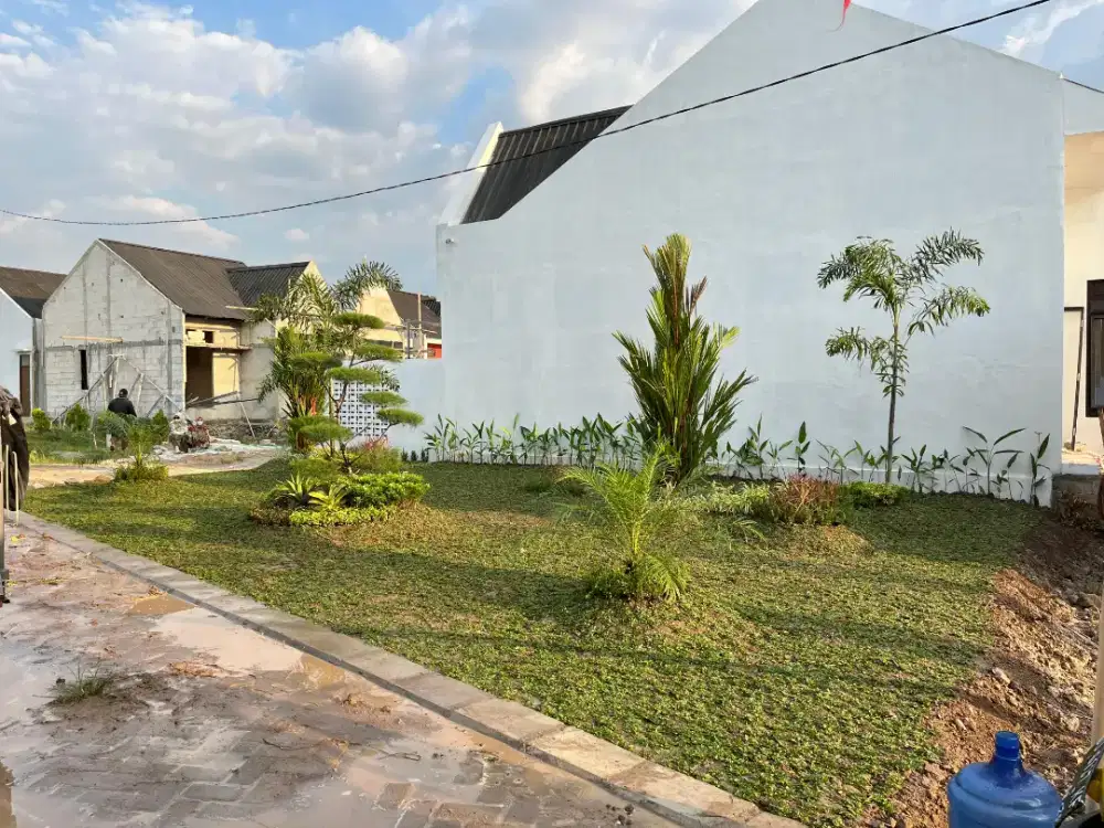 Tukang Taman area bone