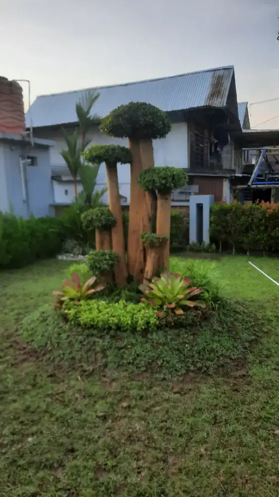 Tukang Taman area maros